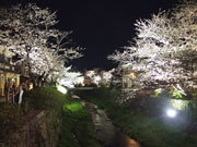 ��������κ���Ǻ��Υ饤�ȥ��å׻Ϥޤ����褤�κ����ڤ�����